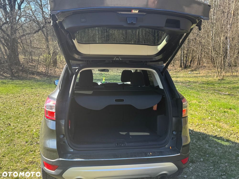 Ford Escape - 6