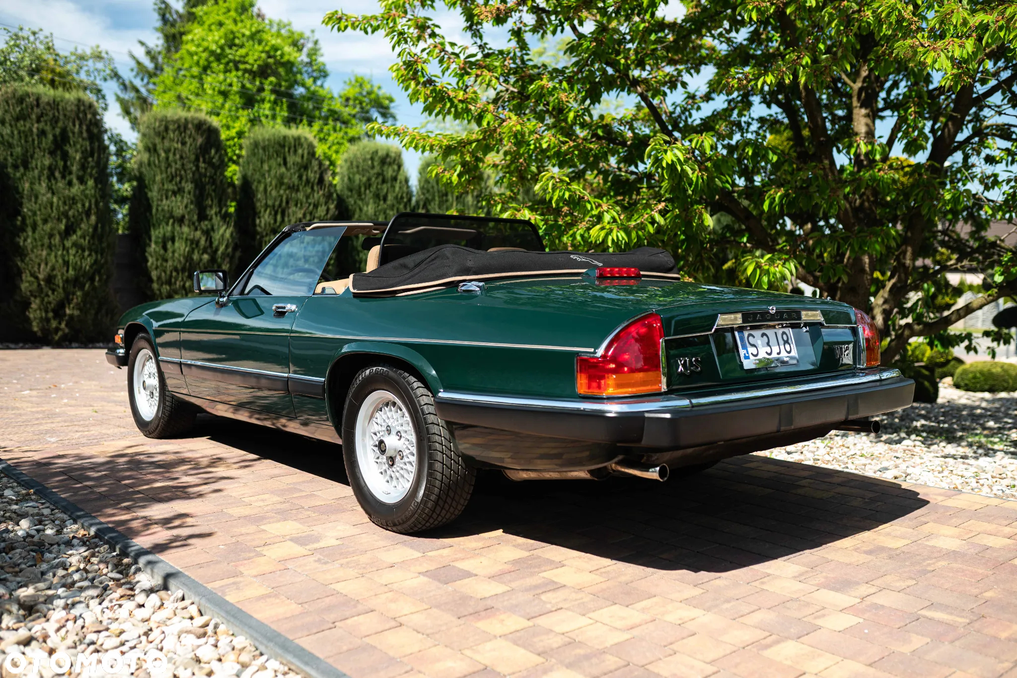 Jaguar XJS - 16