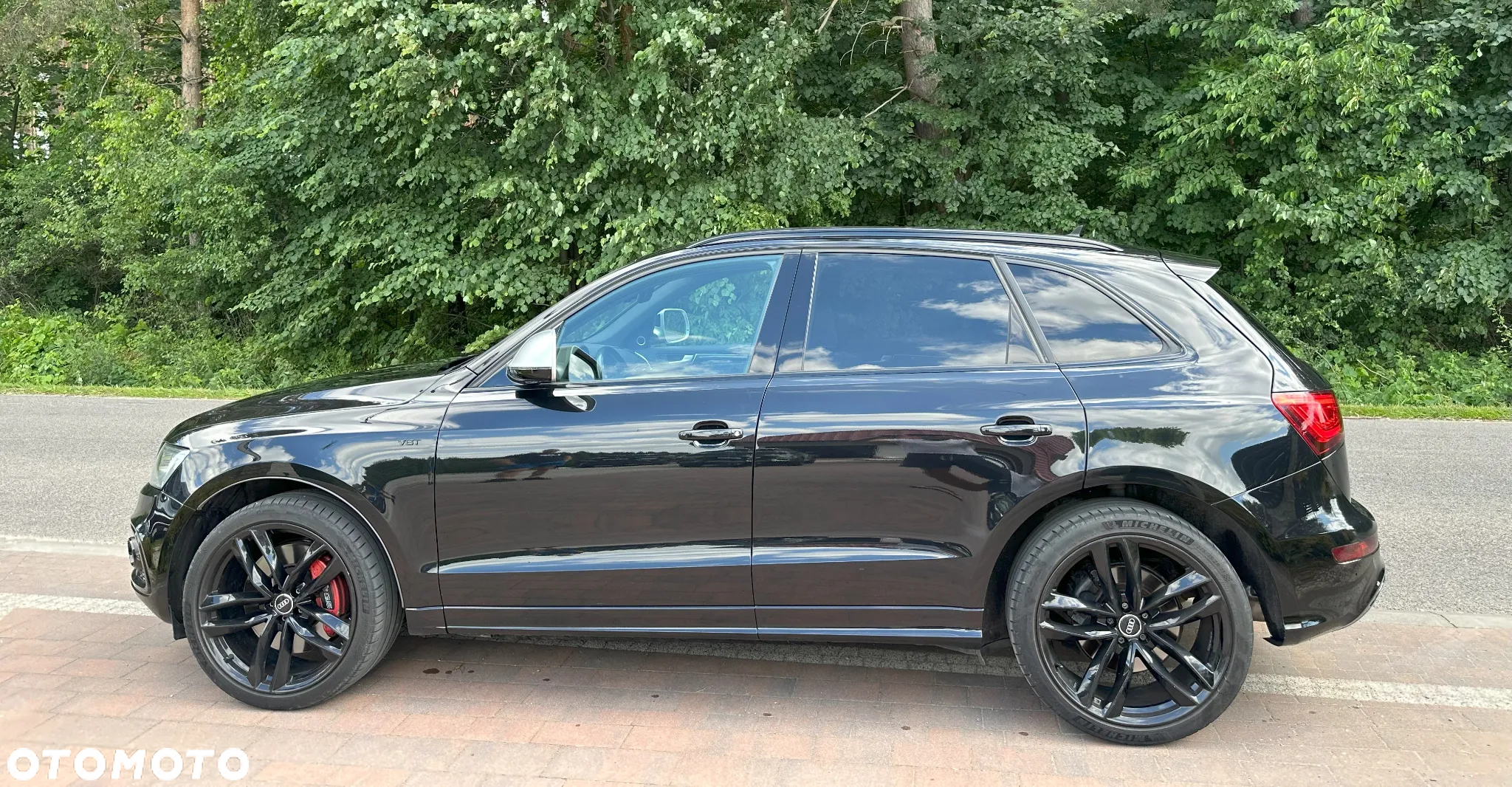 Audi SQ5 3.0 TDI Quattro Tiptronic EU6 - 13