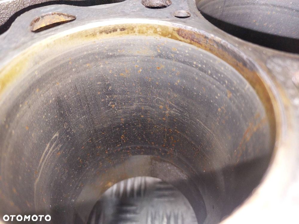 BLOK SILNIKA FSO POLONEZ CARO 1.6 8V OHV CE - 9