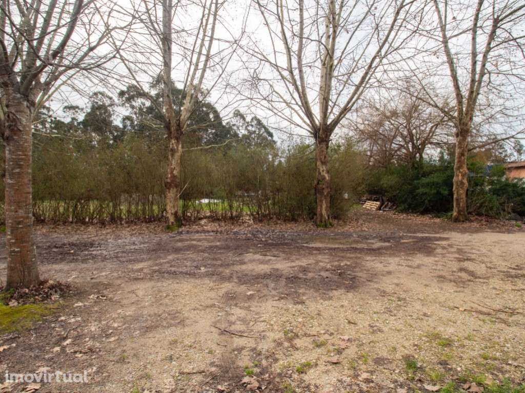 Lote de Terreno - Grande imagem: 4/17