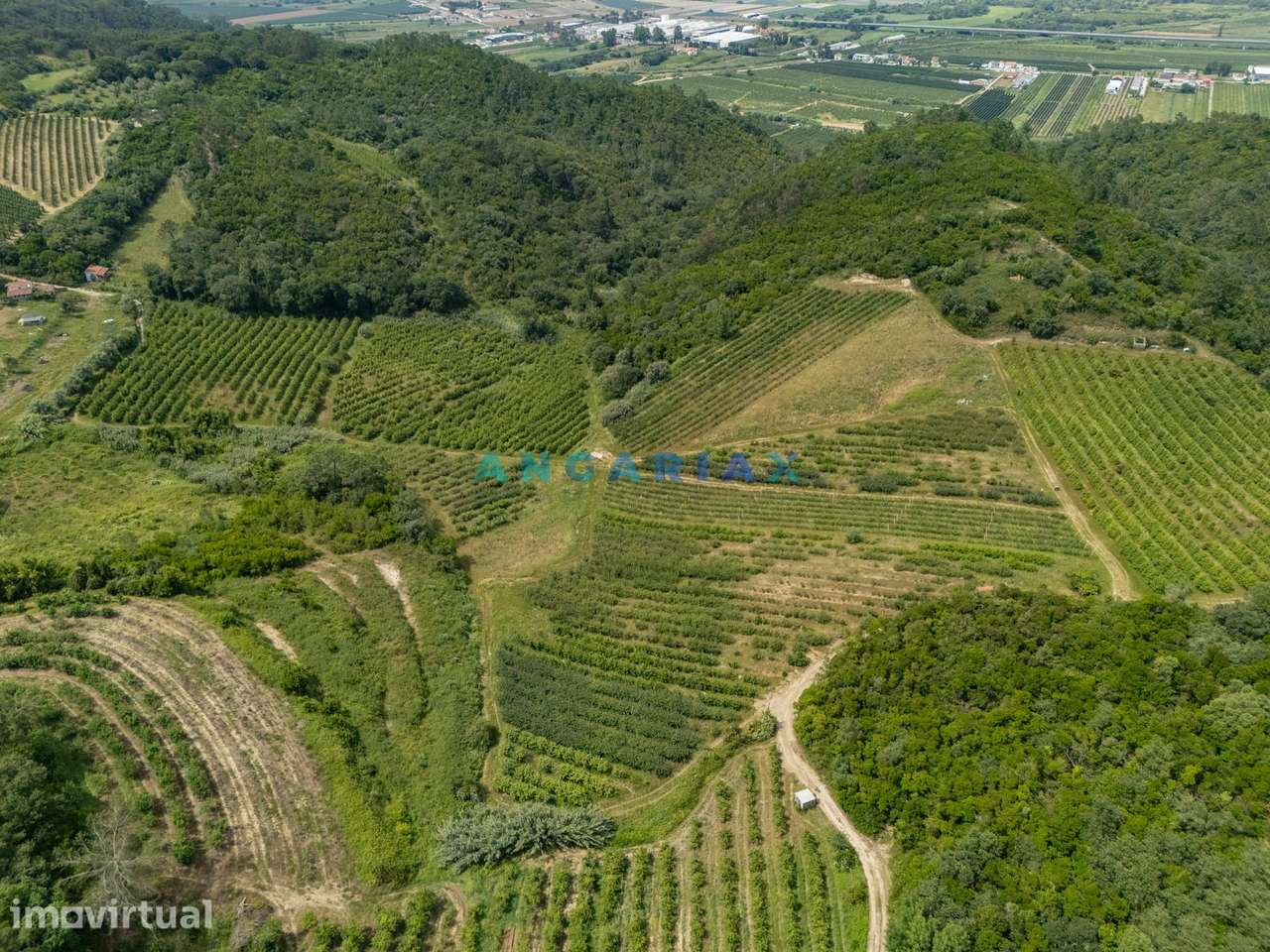 ANG1645 - Terreno para Venda em Vestiaria, Alcobaça - Grande imagem: 2/37