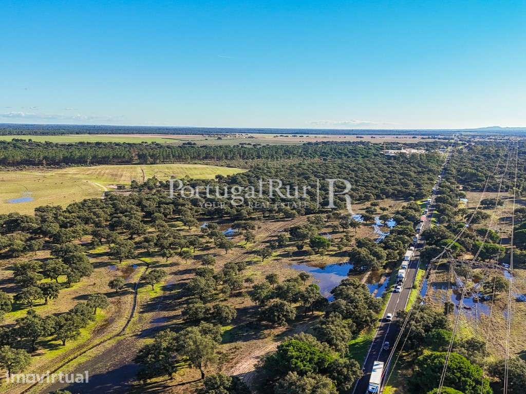 Herdade de 60 ha com regadio, ideal para gado, perto de Lisboa - Grande imagem: 3/59