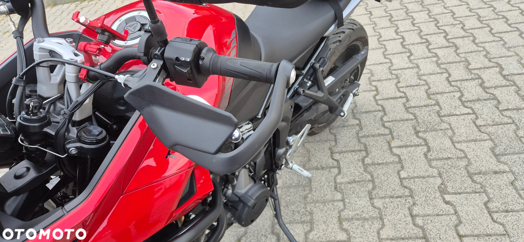 Triumph Tiger - 6