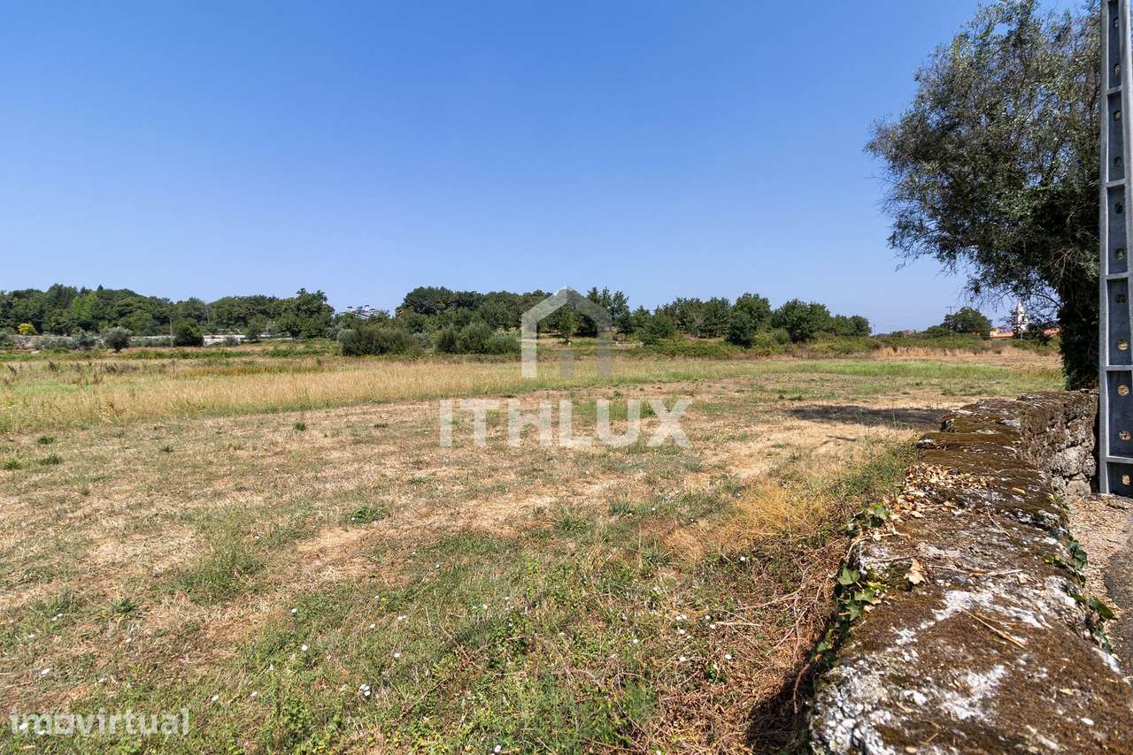 Terreno em Sabugosa - Tondela - Grande imagem: 2/8