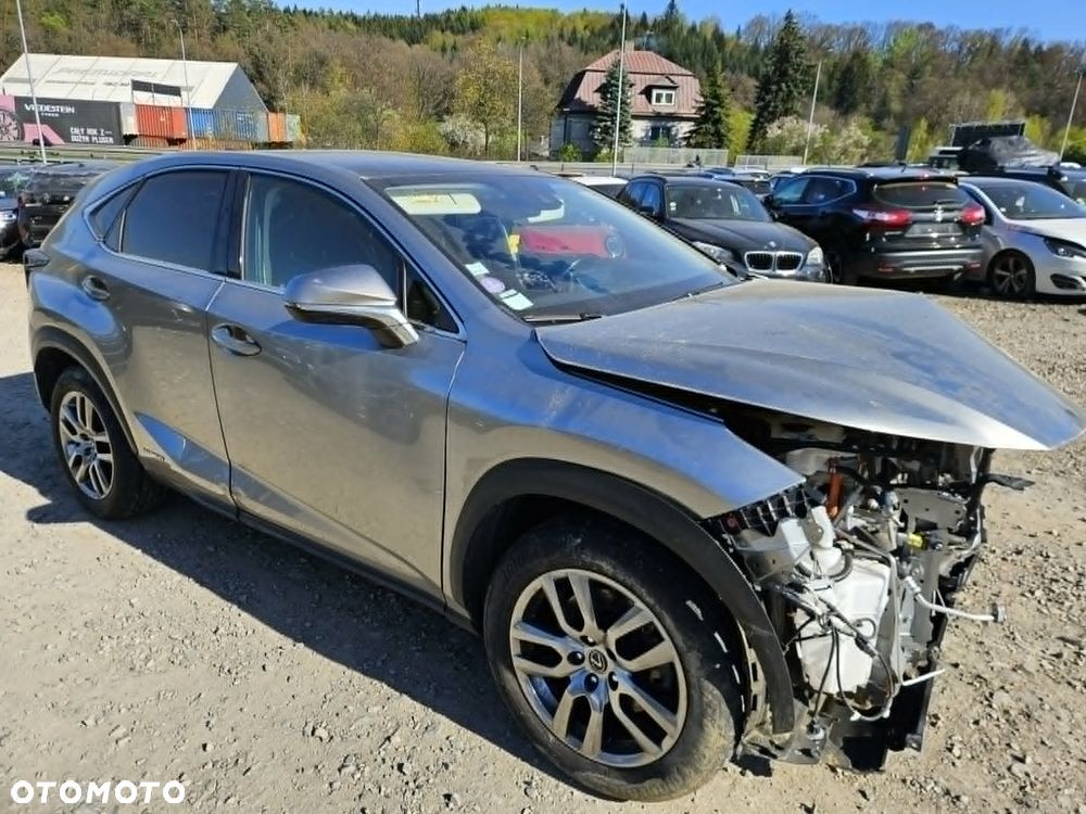 Lexus NX 300h - 6