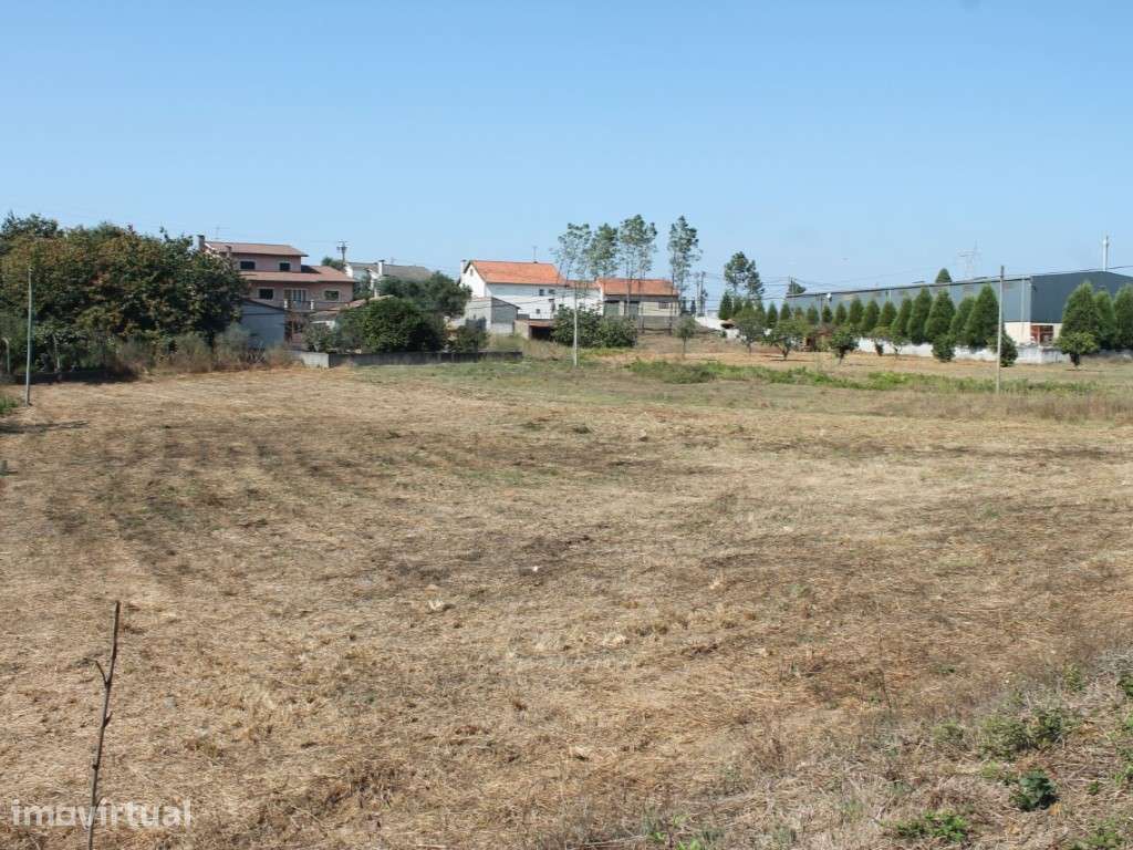 Terreno - Milagres - Grande imagem: 2/3