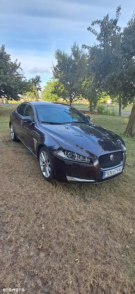 Jaguar XF 2.2 D Premium Luxury - 11