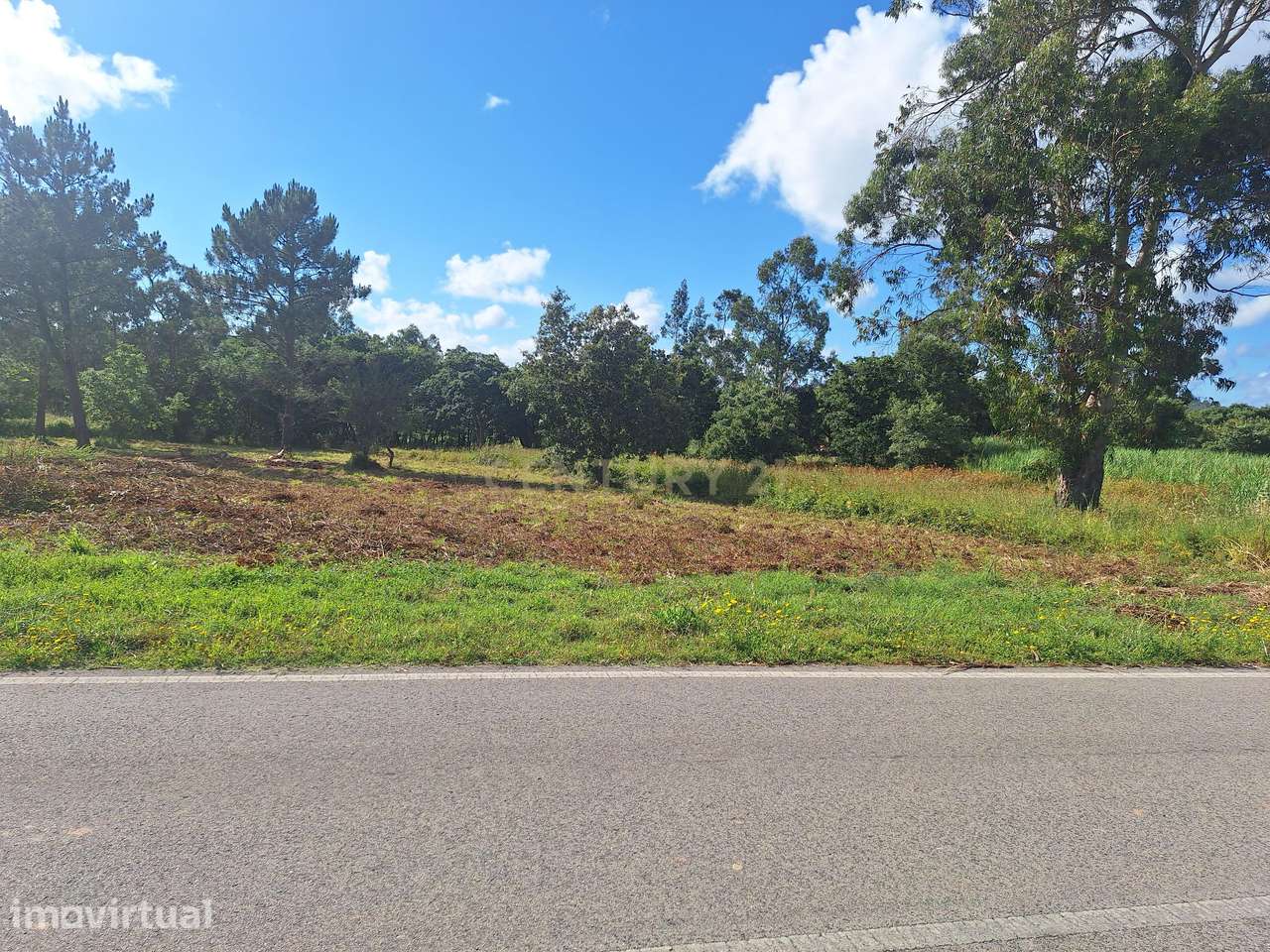 Terreno para construção urbana, em Quinta das Freiras, Alcobaça! - Grande imagem: 4/13