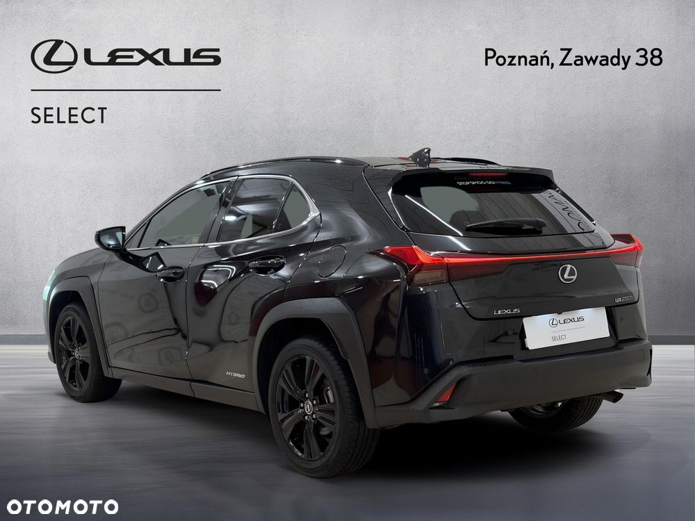 Lexus UX - 9