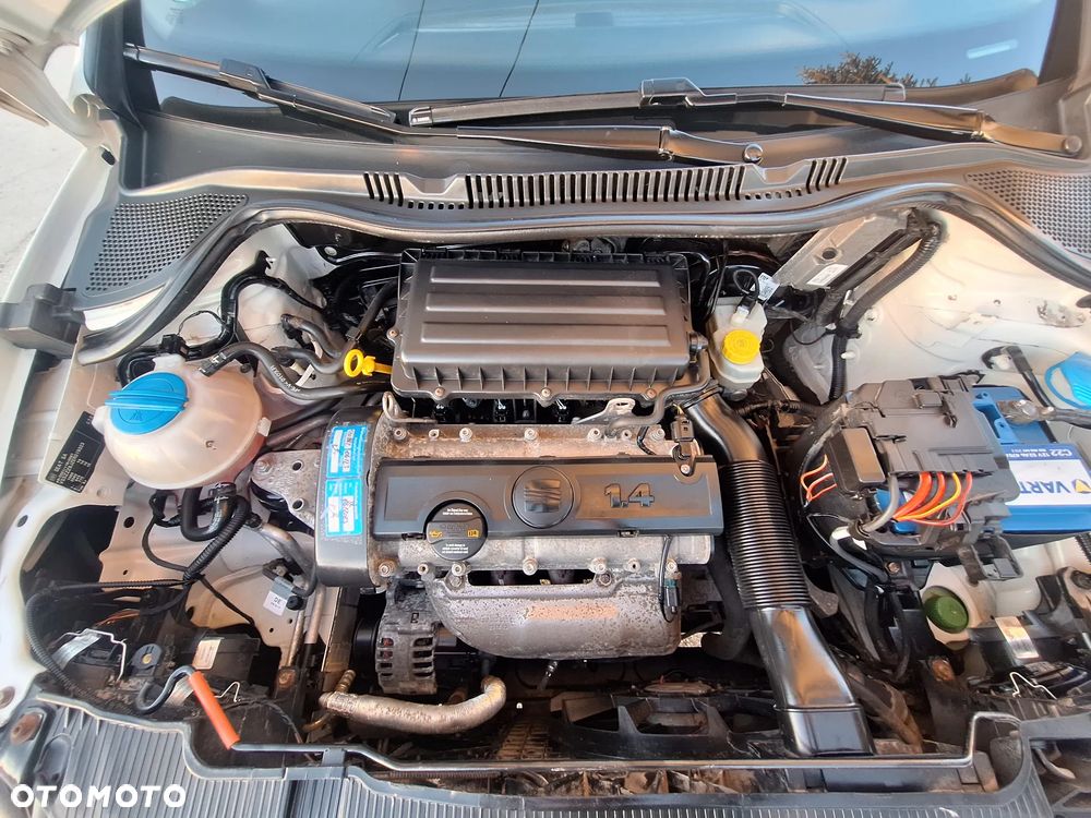 Seat Ibiza - 31