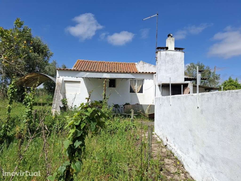 Quintinha nas Fazendas da Arriça - Branca - Grande imagem: 3/25