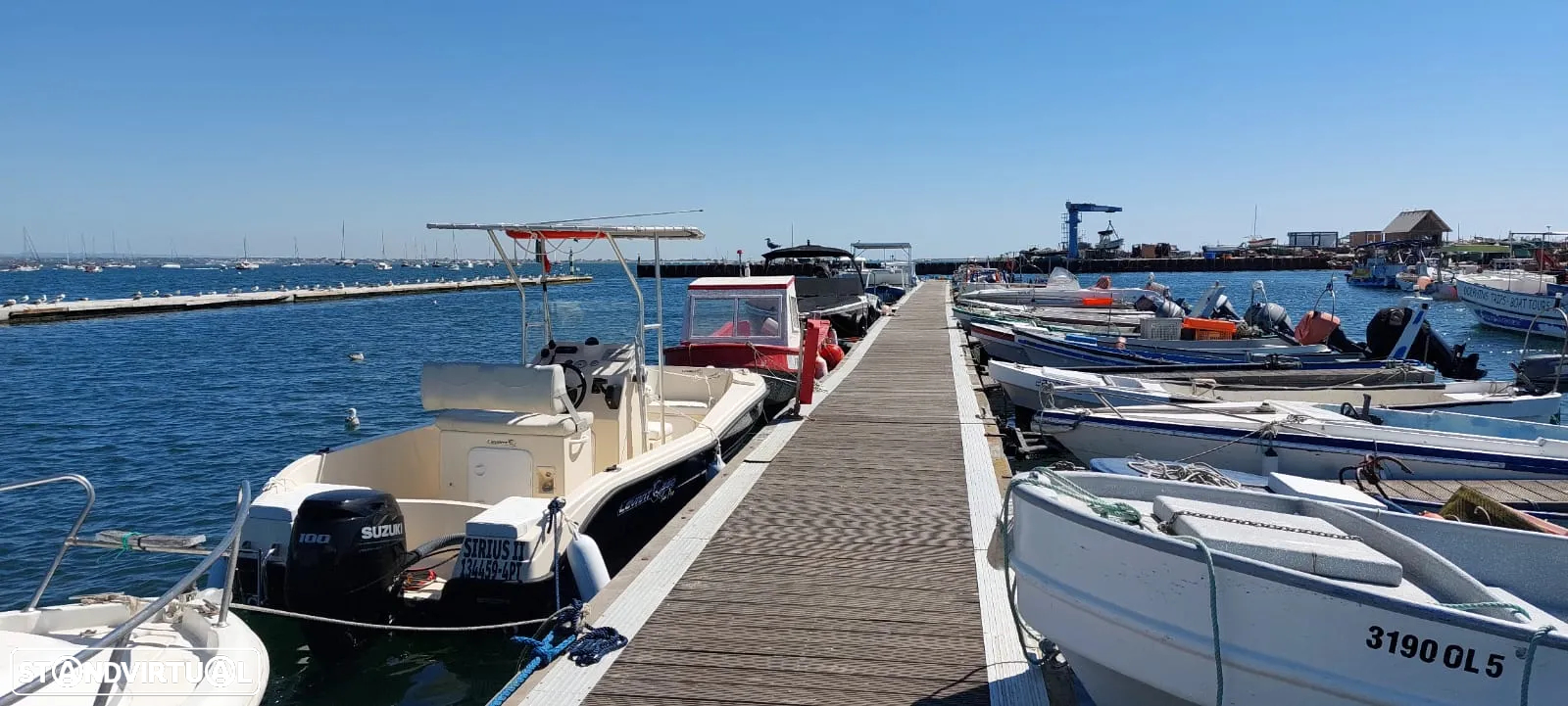 Levant Sea Pro 560 - 20