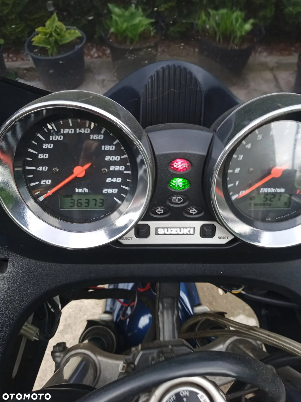 Suzuki Bandit - 7