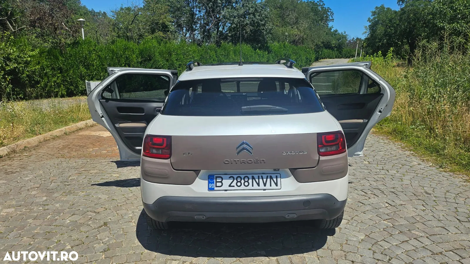 Citroën C4 Cactus PureTech 82 Shine Edition - 9