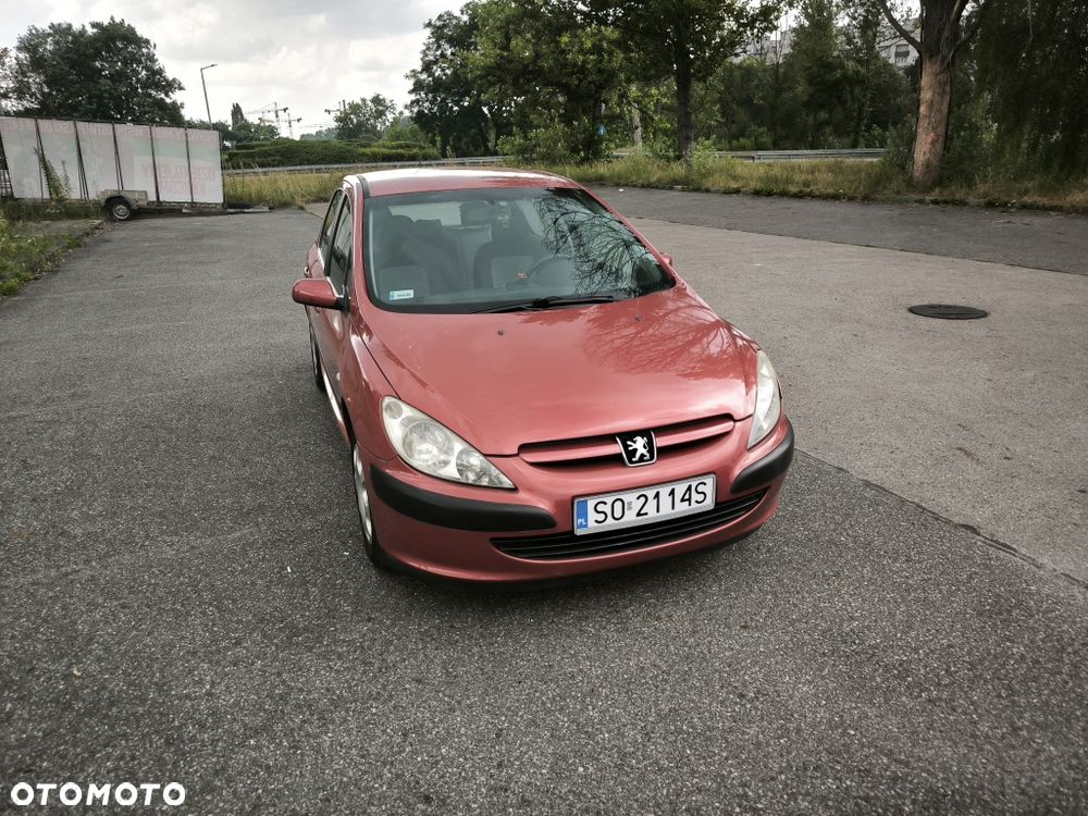 Peugeot 307 - 4