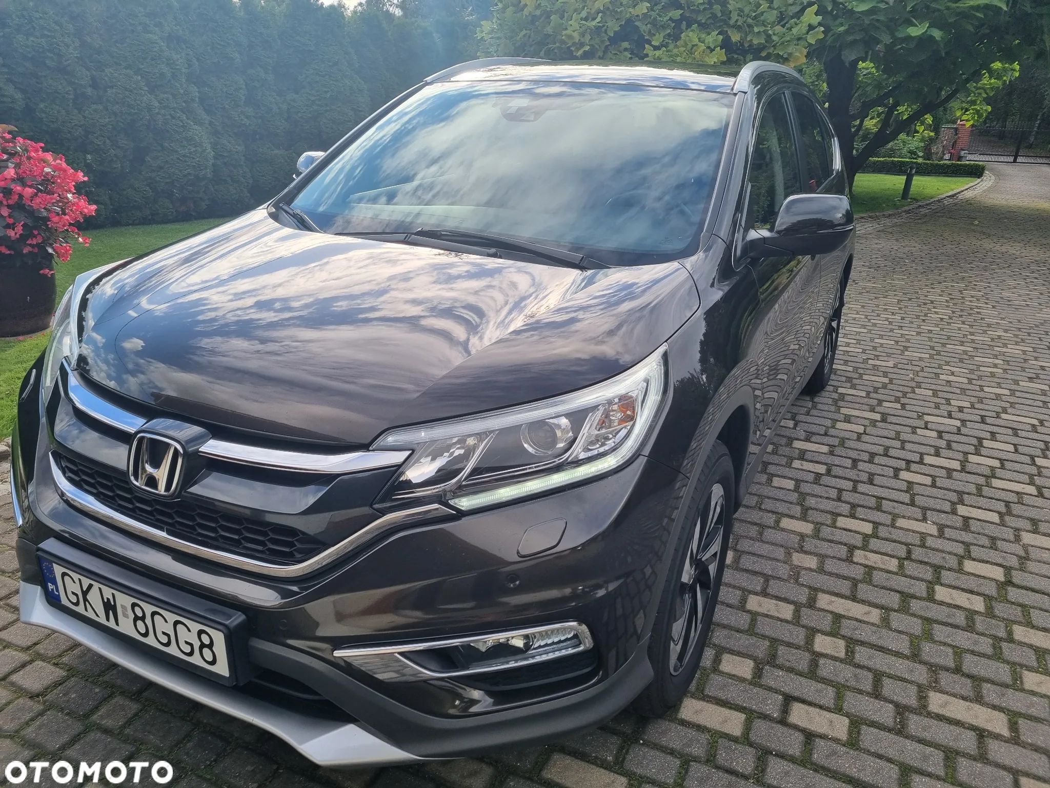 Honda CR-V 2.0 Executive (Sensing Pack / Connect+) - 1