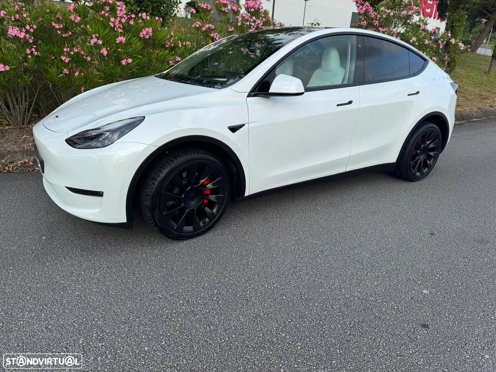 Tesla Model Y Long Range Dual Motor AWD - 1