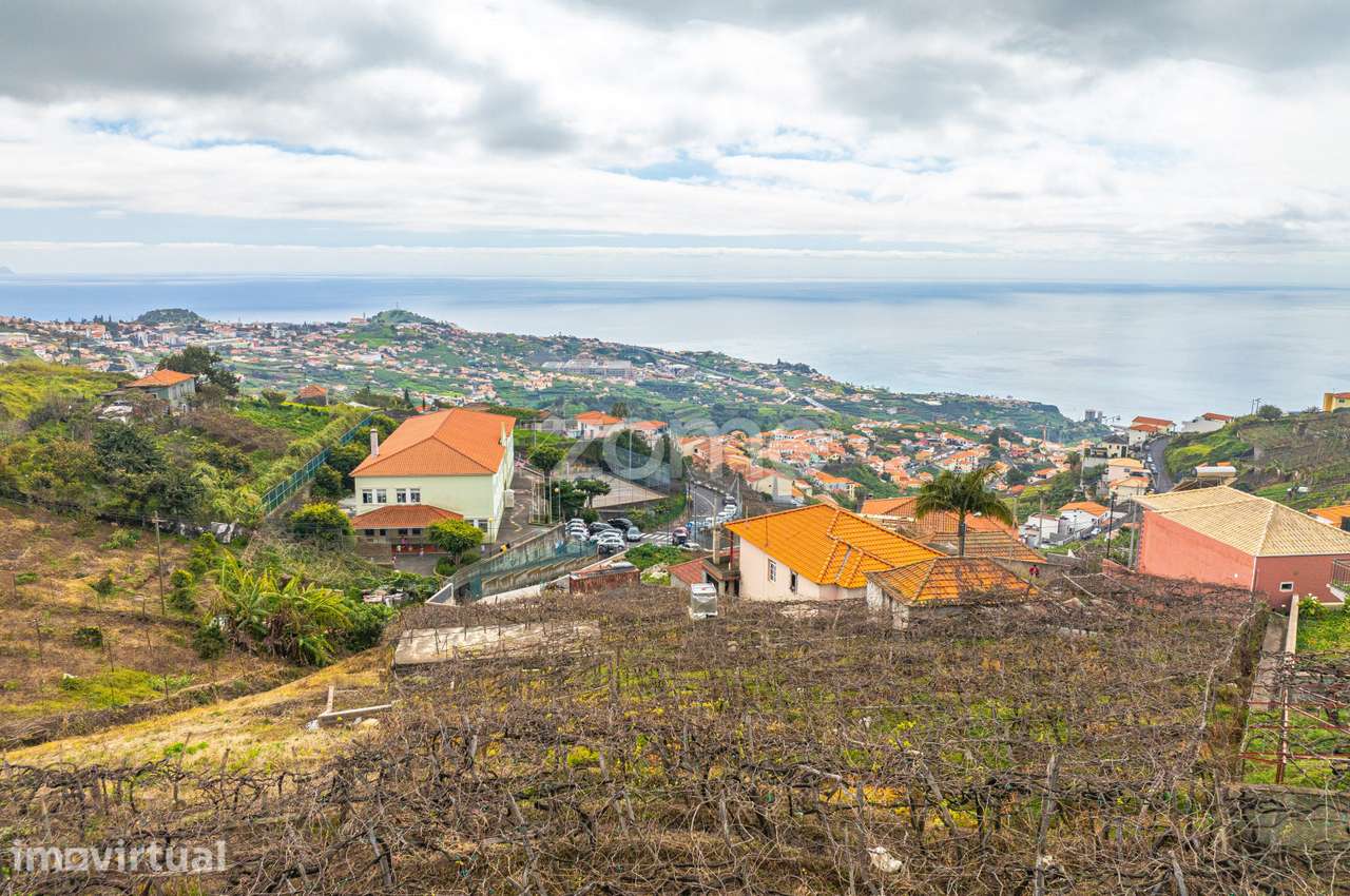 Terreno Rústico em Câmara de Lobos - Grande imagem: 3/15