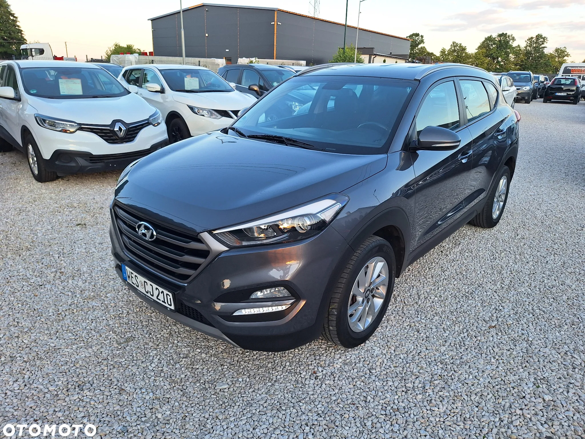 Hyundai Tucson 1.6 GDI BlueDrive Comfort 2WD - 2