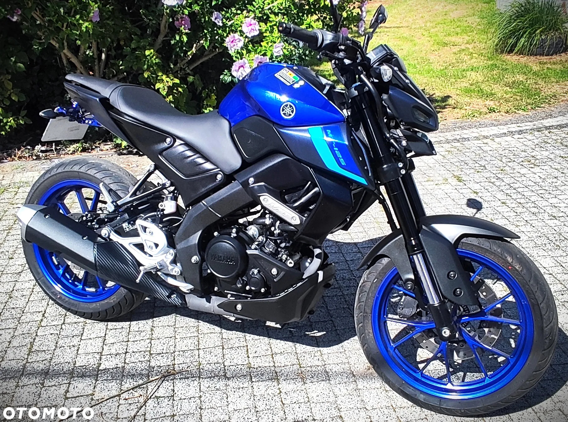 Yamaha MT - 12