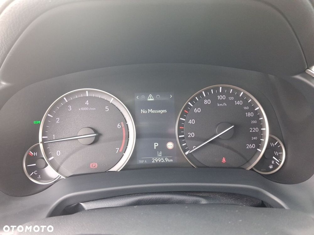 Lexus RX - 23