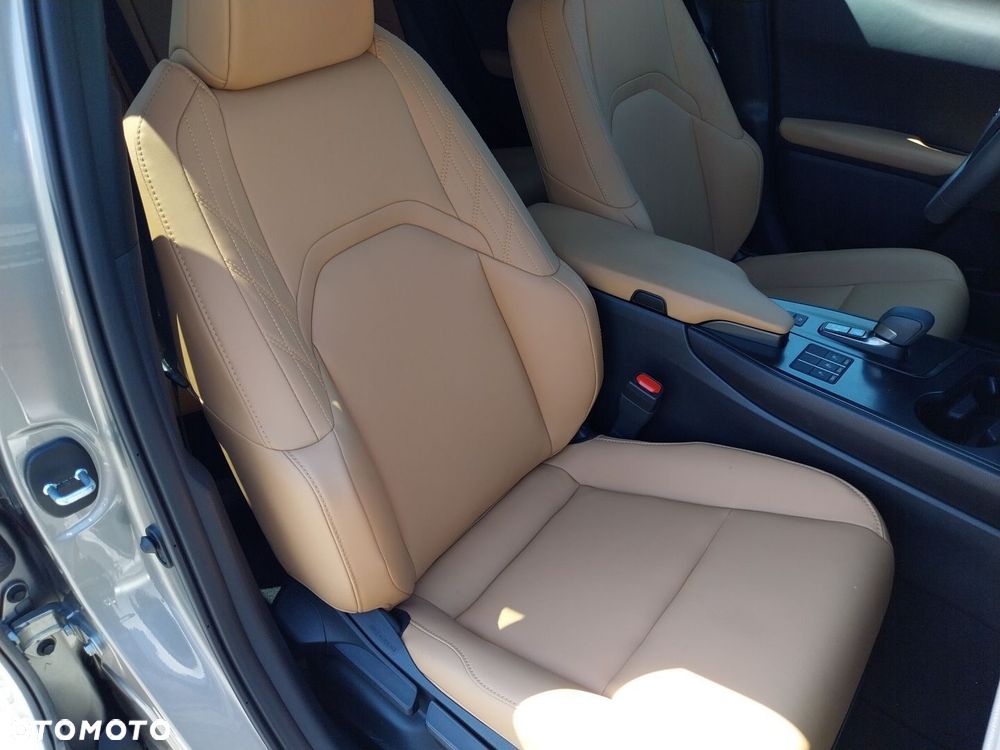 Lexus UX 300h F Sport Design - 10