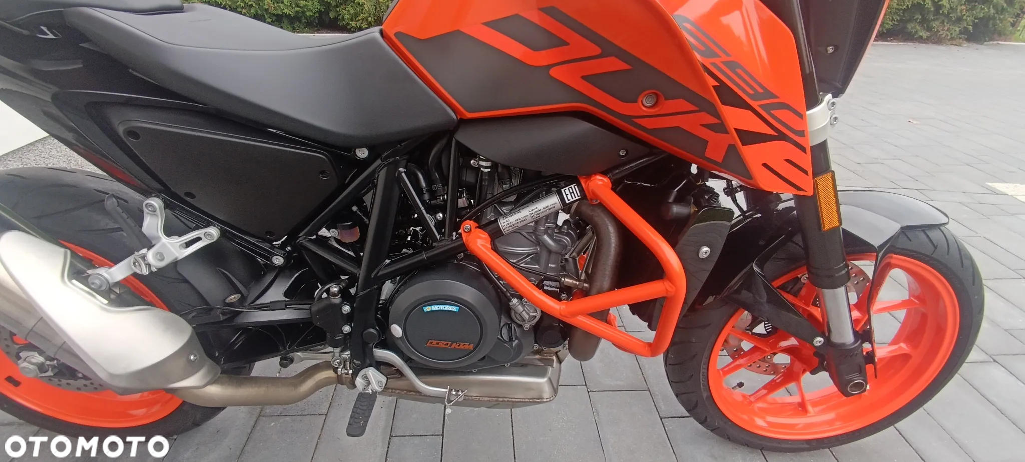 KTM Duke - 11