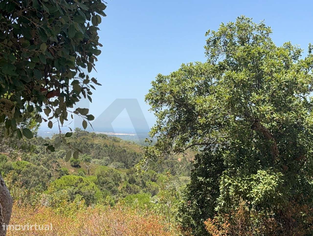 Herdade de 15,7 ha com Vista Mar e Potencial de Expansão | Santiago do - Grande imagem: 4/8