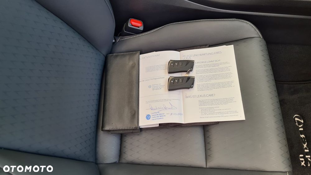 Lexus UX 250h GPF Prestige AWD - 31