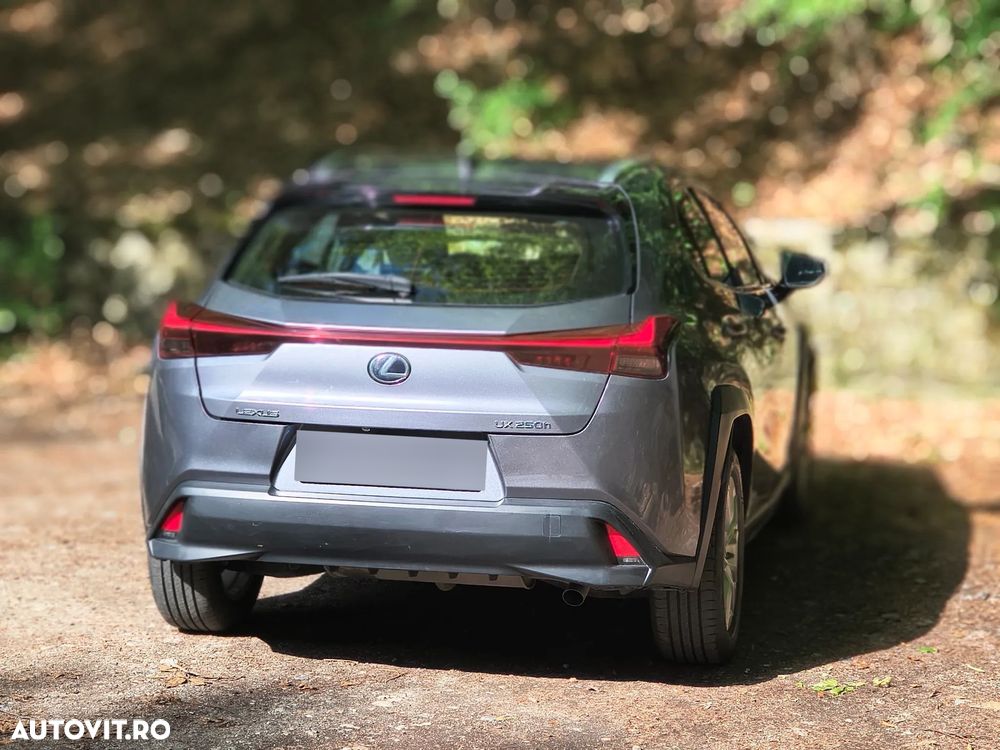 Lexus UX 250h Business Edition - 7