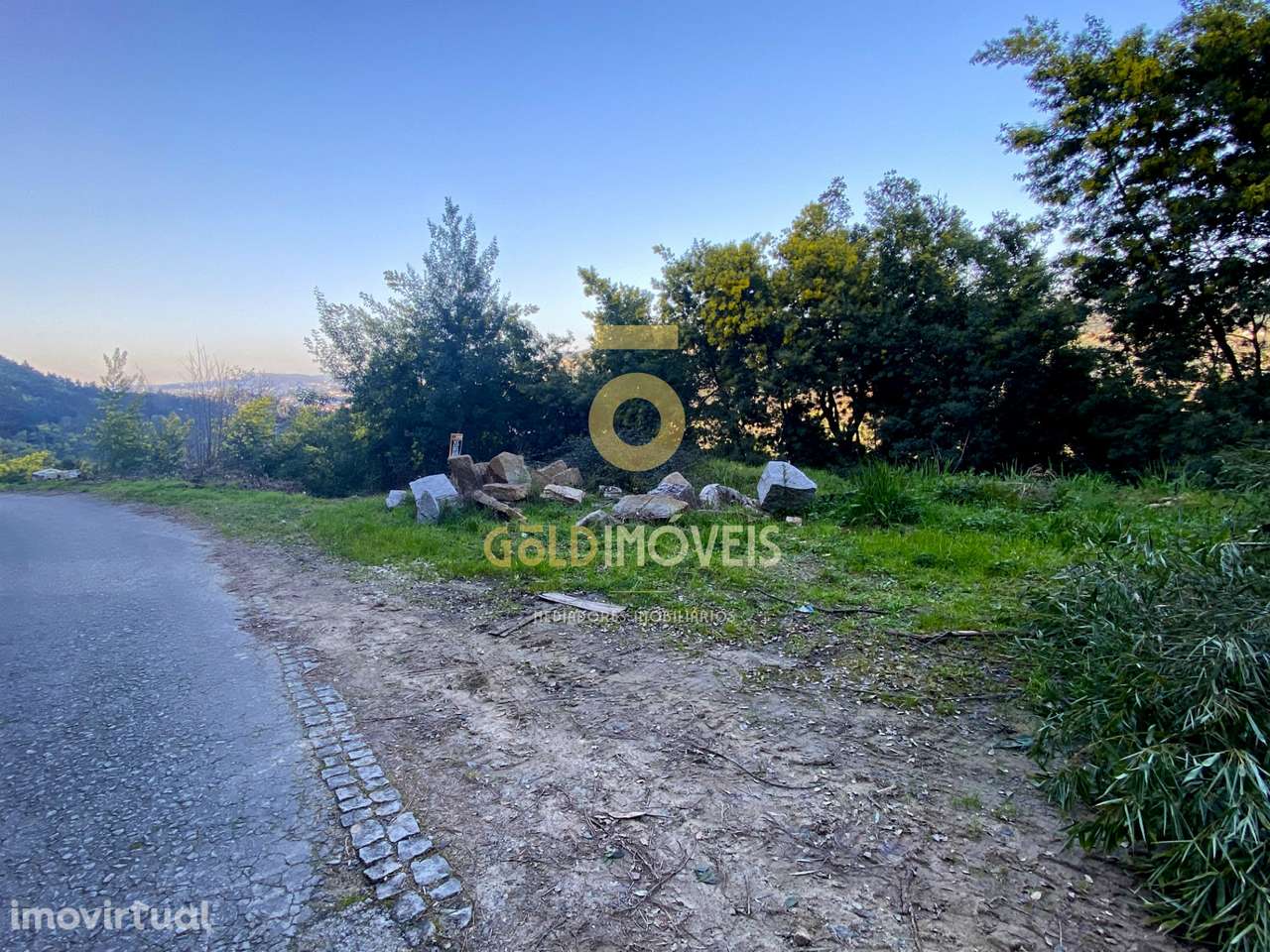 Terreno Florestal - Grande imagem: 2/6