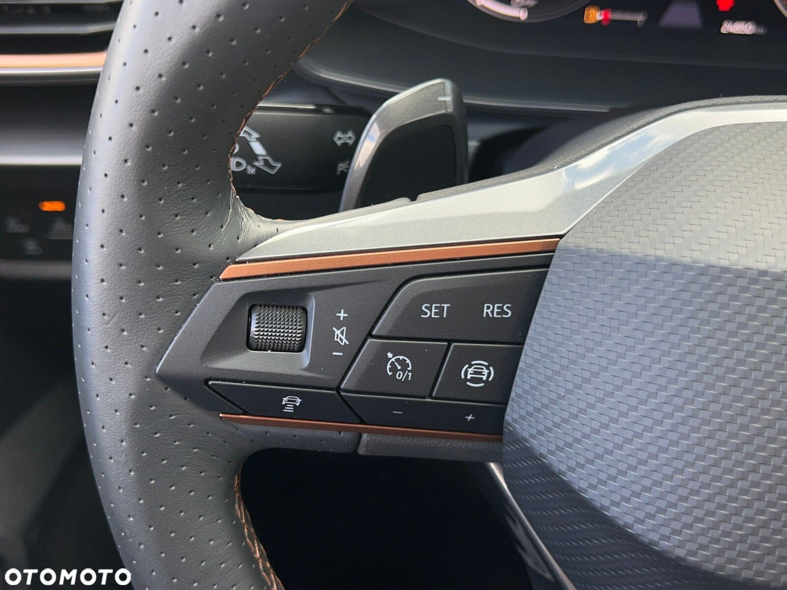 Cupra Formentor 1.5 TSI DSG - 21