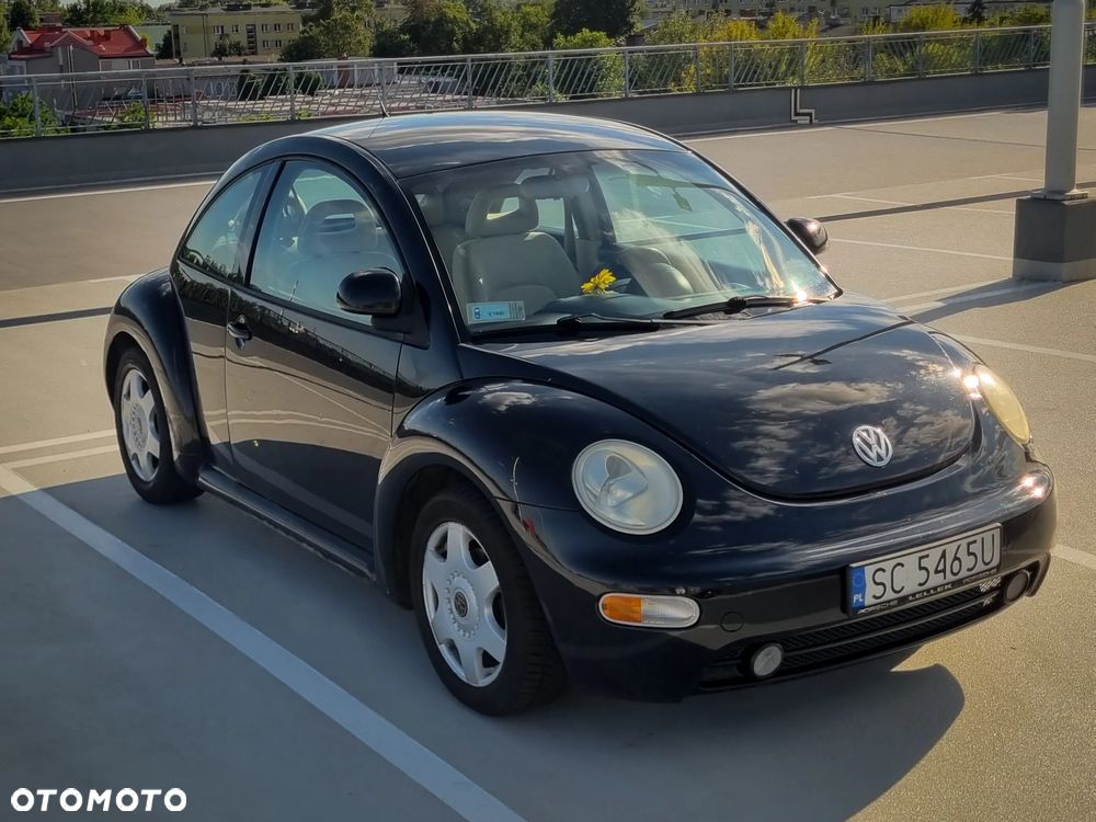 Volkswagen Beetle - 18