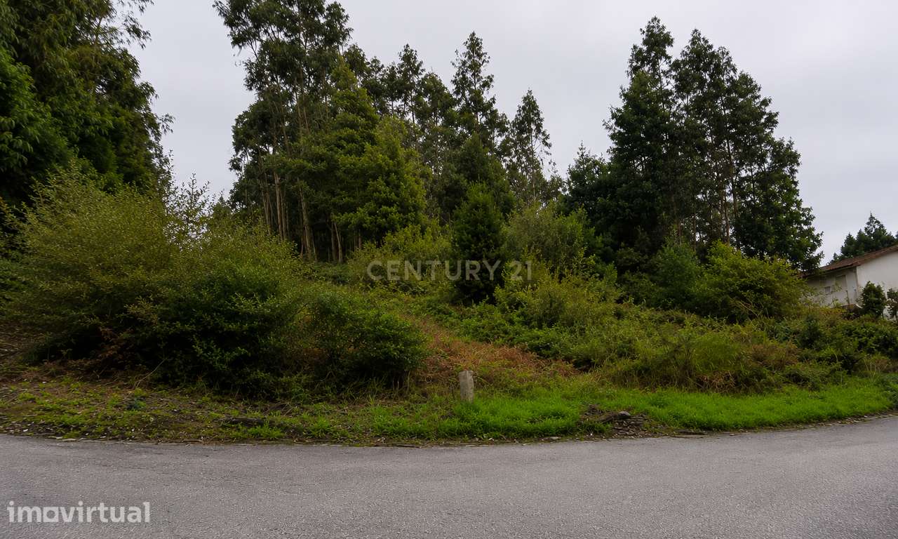 Terreno em Pedroso e Seixezelo, Vila Nova de Gaia, Porto - Grande imagem: 4/7