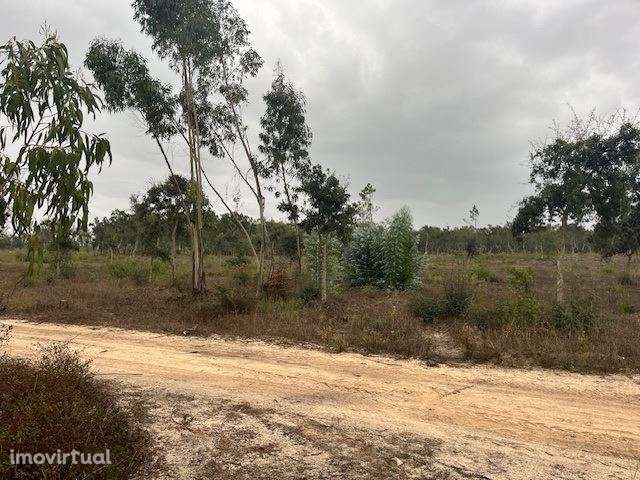 Herdade, para venda, Santiago do Cacém - Santo Andre - Grande imagem: 2/4