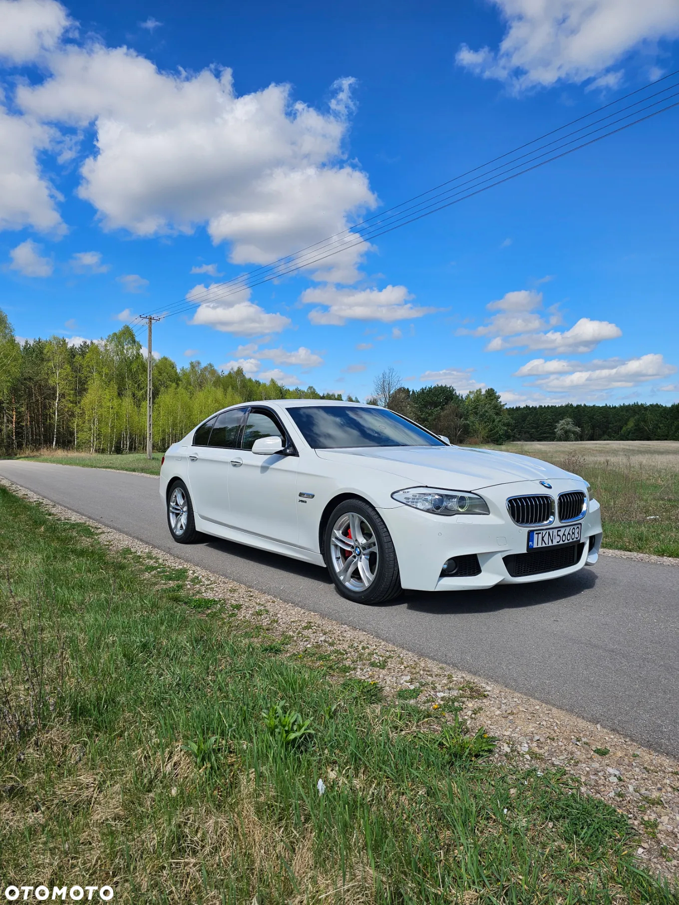 BMW Seria 5 530d xDrive - 2