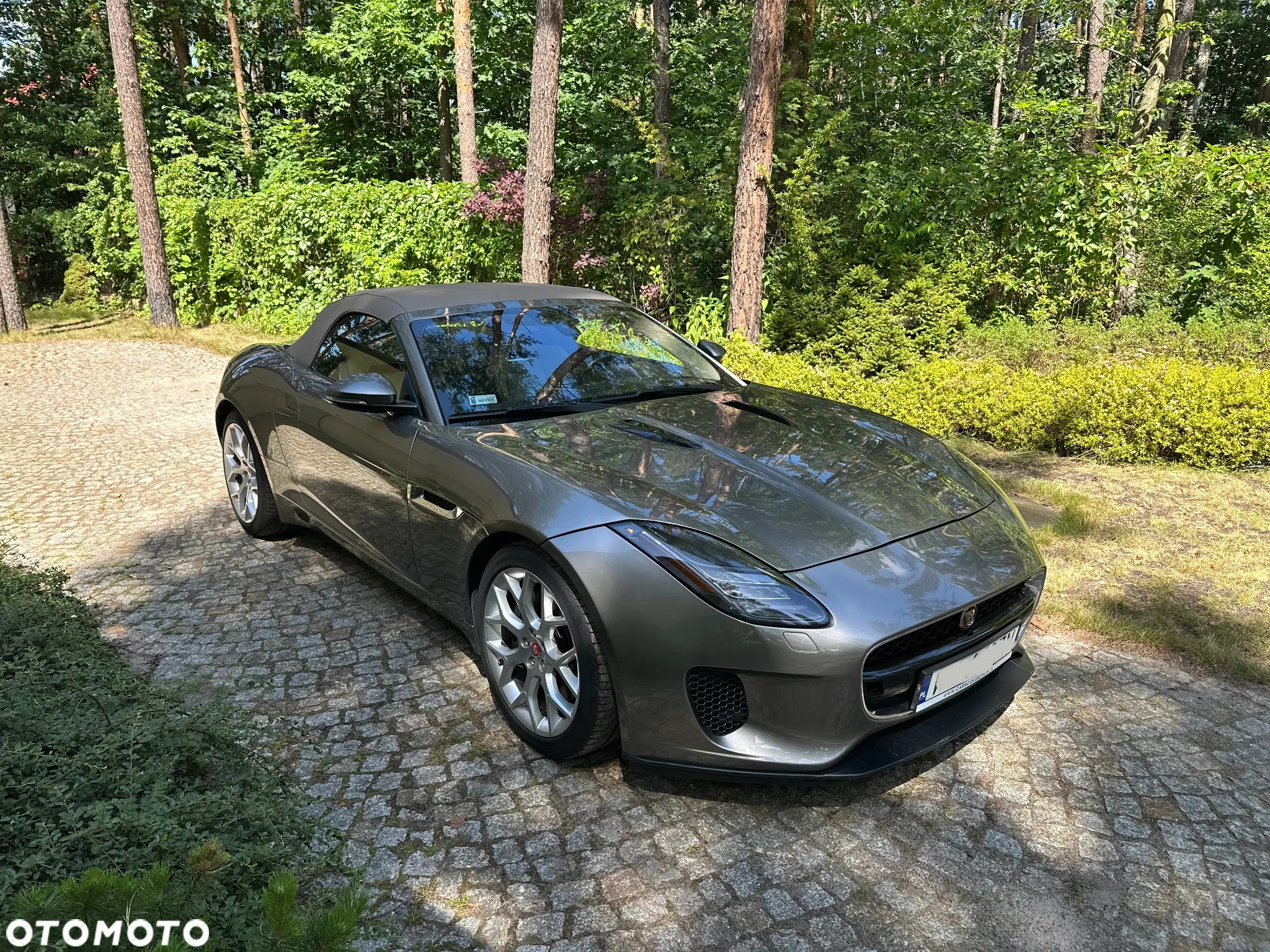 Jaguar F-Type 2.0 Turbo Chequered Flag - 4
