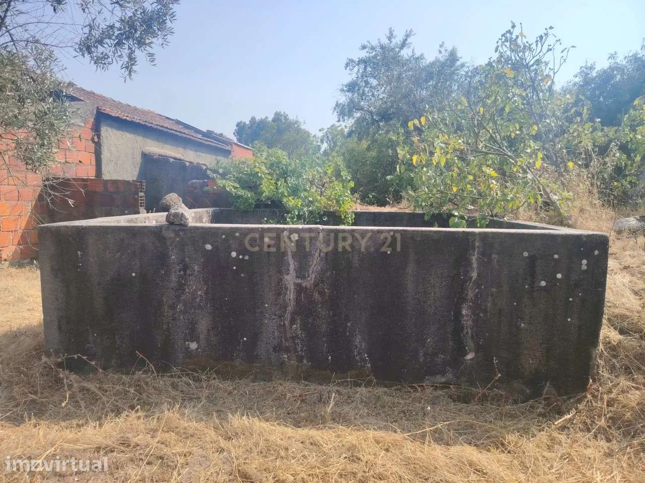 Encantadora Propriedade em Louriçal do Campo, Castelo Branco - Grande imagem: 2/60