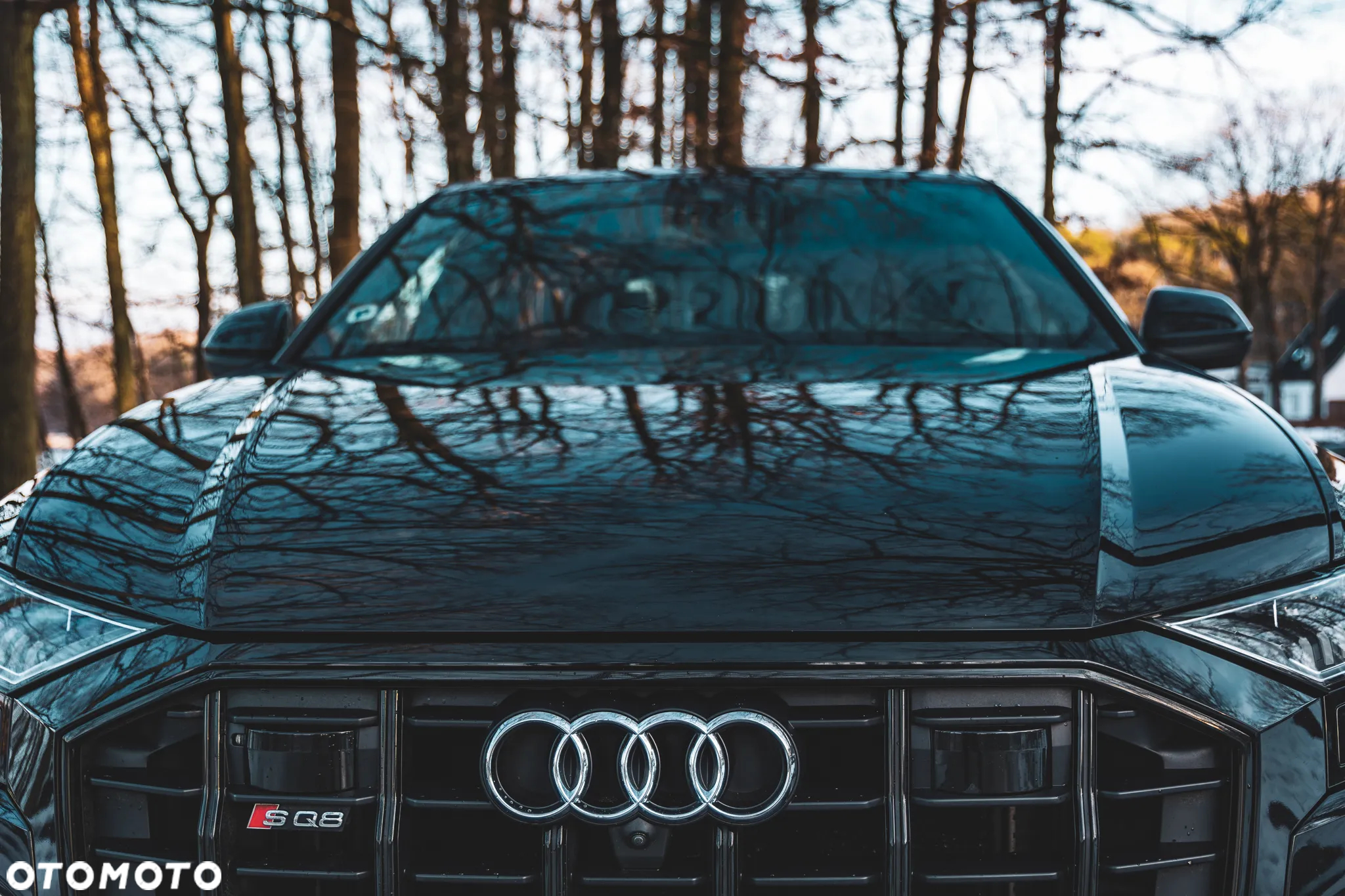 Audi SQ8 - 4
