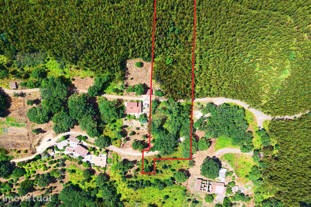 Terreno rústico com 7120 m2 na Fóia - Monchique - Grande imagem: 2/14