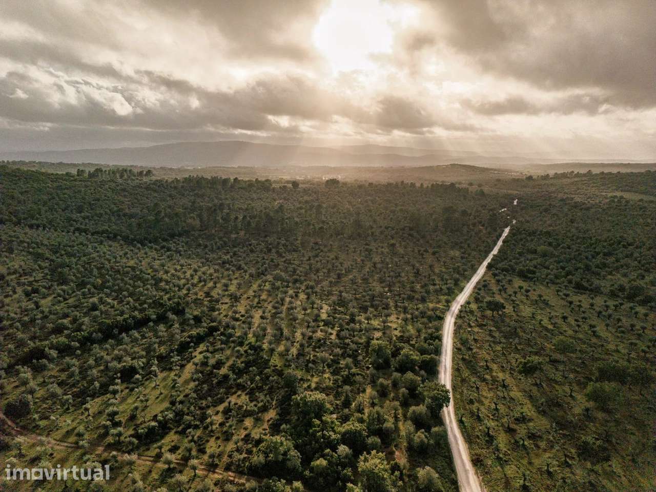 5,54ha com aprovação de PIP para desenvolvimento turístico de 200 cama - Grande imagem: 2/13