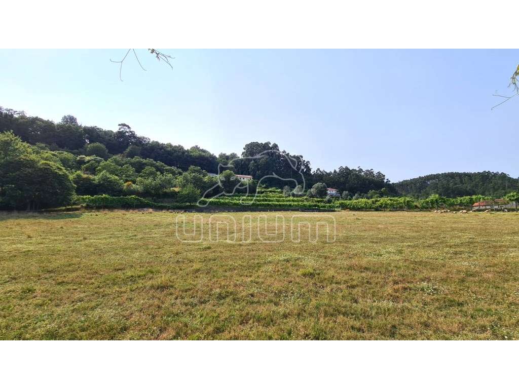 Terreno em Vade - Vila Verde - Grande imagem: 4/15