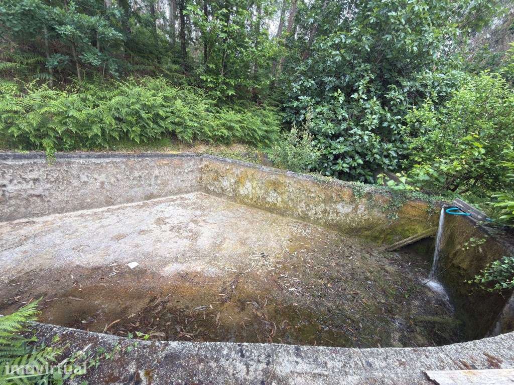 Terreno Florestal e Agrícola com Água Própria | Plano e com Bons Ac... - Grande imagem: 3/23