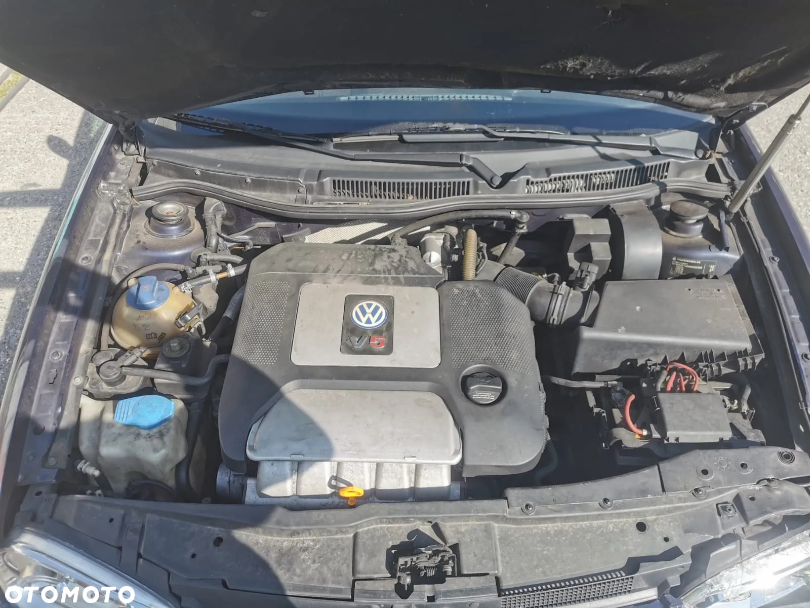 Volkswagen Golf - 8