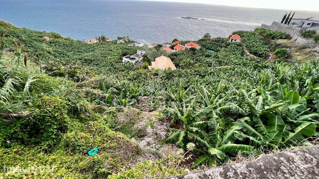 Terreno para Investimento na Calheta - Ilha da Madeira - Grande imagem: 3/10