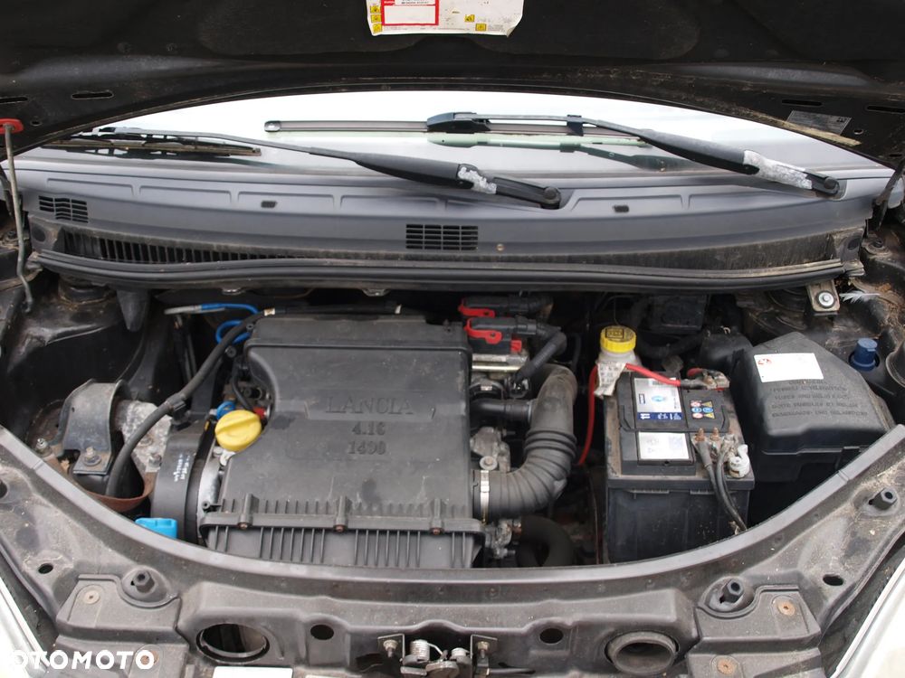 Lancia Musa - 14