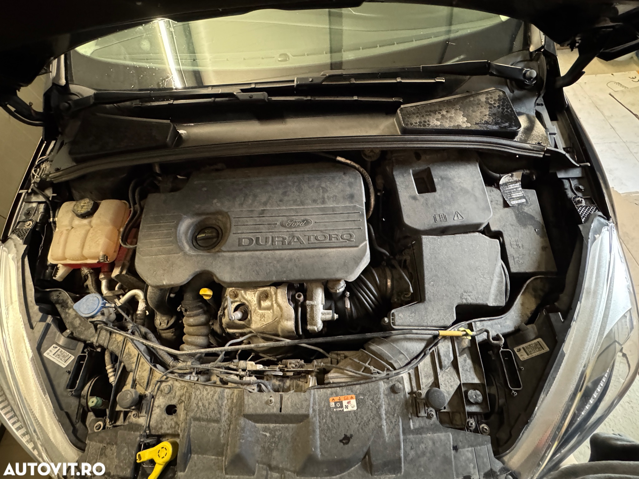 Ford Focus - 23