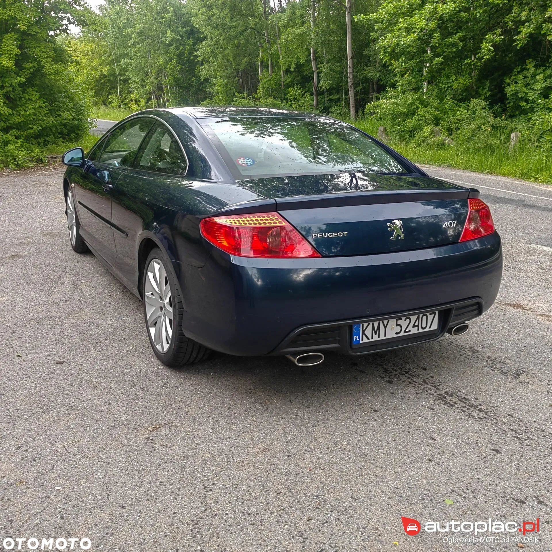 Peugeot 407 - 7