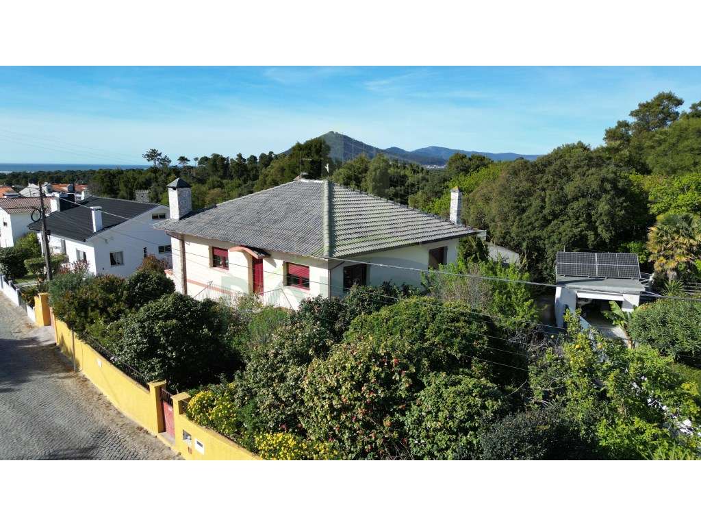 Moradia T3 + T3 em Moledo - a dois minutos da Praia - Grande imagem: 4/18